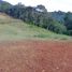  Land for sale in El Carmen De Viboral, Antioquia, El Carmen De Viboral