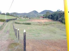  Land for sale in El Carmen De Viboral, Antioquia, El Carmen De Viboral