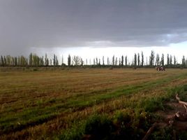  Casa en venta en San Rafael, Mendoza, San Rafael