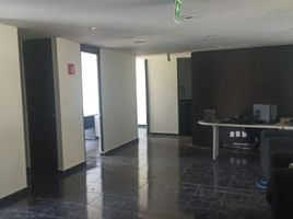 330 m2 Office for rent in Miguel Hidalgo, Mexico City, Miguel Hidalgo