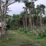  Land for sale in Bohol, Central Visayas, Tagbilaran City, Bohol