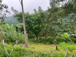  Grundstück zu verkaufen in Lombok Barat, West Nusa Tenggara, Gunung Sari