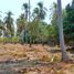  Grundstück zu verkaufen in Acapulco, Guerrero, Acapulco, Guerrero