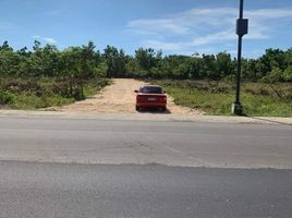  Land for sale in Panglao, Bohol, Panglao