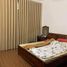 4 Schlafzimmer Haus zu verkaufen in Tay Ho, Hanoi, Thuy Khue, Tay Ho