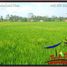  Land for sale in Ubud, Gianyar, Ubud