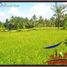  Land for sale in Ubud, Gianyar, Ubud