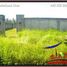  Land for sale in Ubud, Gianyar, Ubud