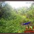  Land for sale in Ubud, Gianyar, Ubud