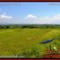  Land for sale in Selemadeg, Tabanan, Selemadeg