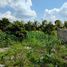  Grundstück zu verkaufen in Conkal, Yucatan, Conkal, Yucatan