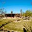 8 Schlafzimmer Haus zu verkaufen in Maipu, Mendoza, Maipu