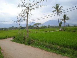  Land for sale in Husein Sastranegara International Airport, Andir, Sumurbandung