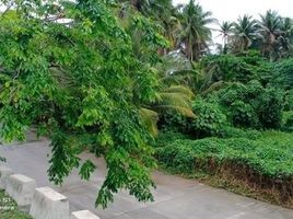  Land for sale in Aurora, Central Luzon, Baler, Aurora