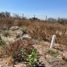  Land for sale in Apaseo El Grande, Guanajuato, Apaseo El Grande