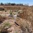 Land for sale in Apaseo El Grande, Guanajuato, Apaseo El Grande