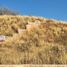  Grundstück zu verkaufen in Chihuahua, Chihuahua, Chihuahua, Chihuahua