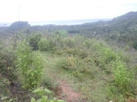  Land for sale in West Nusa Tenggara, Praya, Lombok Tengah, West Nusa Tenggara