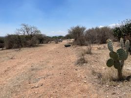  Terreno (Parcela) en venta en Tequisquiapan, Querétaro, Tequisquiapan
