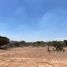  Terreno (Parcela) en venta en Tequisquiapan, Querétaro, Tequisquiapan