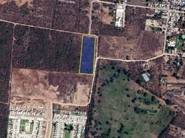  Terreno (Parcela) en venta en Yaxkukul, Yucatán, Yaxkukul