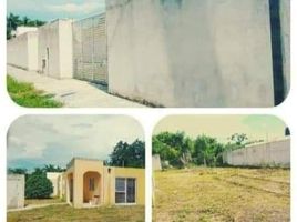 3 Schlafzimmer Haus zu verkaufen in Tizimin, Yucatan, Tizimin