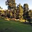  Land for sale in Mineral Del Chico, Hidalgo, Mineral Del Chico