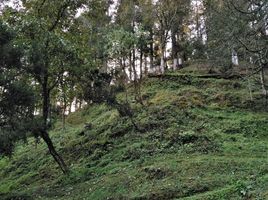  Land for sale in Mineral Del Chico, Hidalgo, Mineral Del Chico