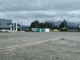  Land for sale in Cayambe, Pichincha, Cayambe, Cayambe