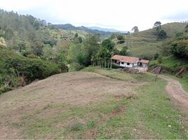  Grundstück zu verkaufen in Retiro, Antioquia, Retiro