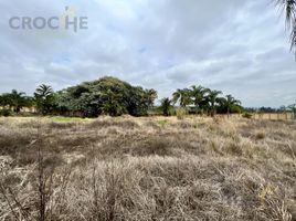 在Coatepec, Veracruz出售的 土地, Coatepec