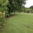  Land for sale in Las Lajas, Chame, Las Lajas