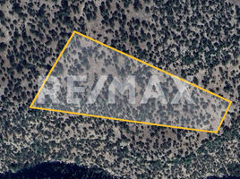  Land for sale in Durango, Durango, Durango, Durango