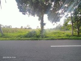  Land for sale in Ngemplak, Sleman, Ngemplak