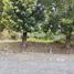  Terreno (Parcela) en venta en Ngaglik, Yogyakarta, Ngaglik
