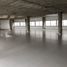 351.42 m² Office for rent in Jalisco, Zapopan, Jalisco