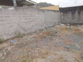  Terreno (Parcela) en venta en Daule, Guayas, Daule, Daule