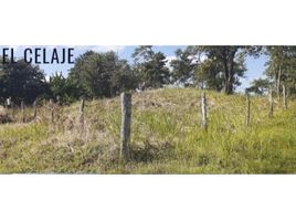  Land for sale in Nueva Gorgona, Chame, Nueva Gorgona