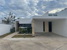 在Yucatan出租的3 卧室 屋, Merida, Yucatan