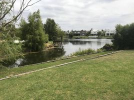 4 Schlafzimmer Villa zu verkaufen in Tigre, Buenos Aires, Tigre
