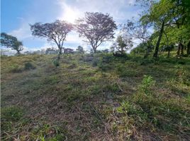 Studio Haus zu verkaufen in Dolega, Chiriqui, Tinajas, Dolega