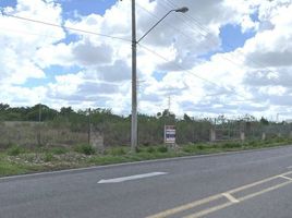  Terreno (Parcela) en venta en Merida, Yucatán, Merida, Yucatán