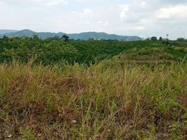  Land for sale in Liloan, Cebu, Liloan