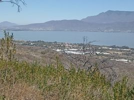  Terreno (Parcela) en venta en Lago De Chapala, Jalisco, Lago De Chapala