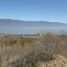 Terreno (Parcela) en venta en Lago De Chapala, Jalisco, Lago De Chapala