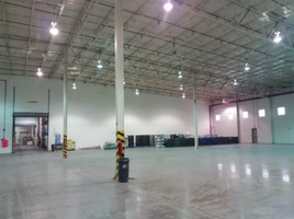 在Nuevo Leon出租的开间 别墅, San Nicolas De Los Garza, Nuevo Leon