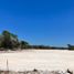  Land for sale in Hunucma, Yucatan, Hunucma