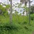  Terrain for sale in Payangan, Gianyar, Payangan