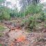  Terreno (Parcela) en venta en Seyegan, Yogyakarta, Seyegan