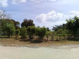  Land for sale in El Palmar Beach, San Carlos, San Carlos